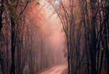 中国足协发布“中国足协球员自荐系统”中国足协官网.