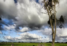 ⚽️足总杯战报:努里、戈麦斯建功,黄喜灿屡失良机,狼队2-1险胜布里斯托尔城.