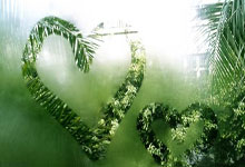 科尔不再担任美国男篮主教练,见好就收为哪般?.