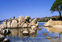 大获全胜!早田希娜3:1顺利晋级16强,国乒男单仅剩2人晋级下一轮.